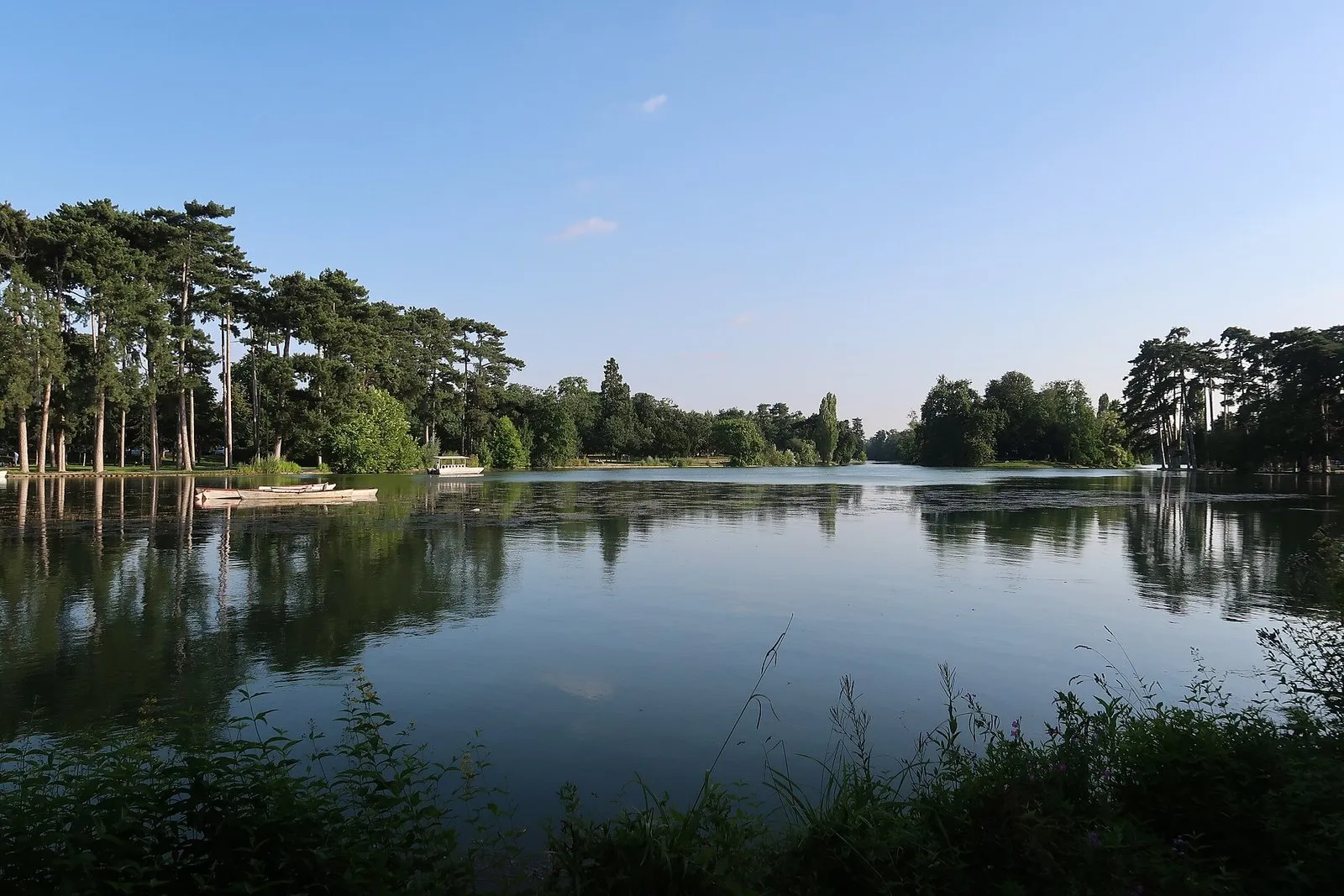 Le lac inférieur du bois de Boulogne et ses pins