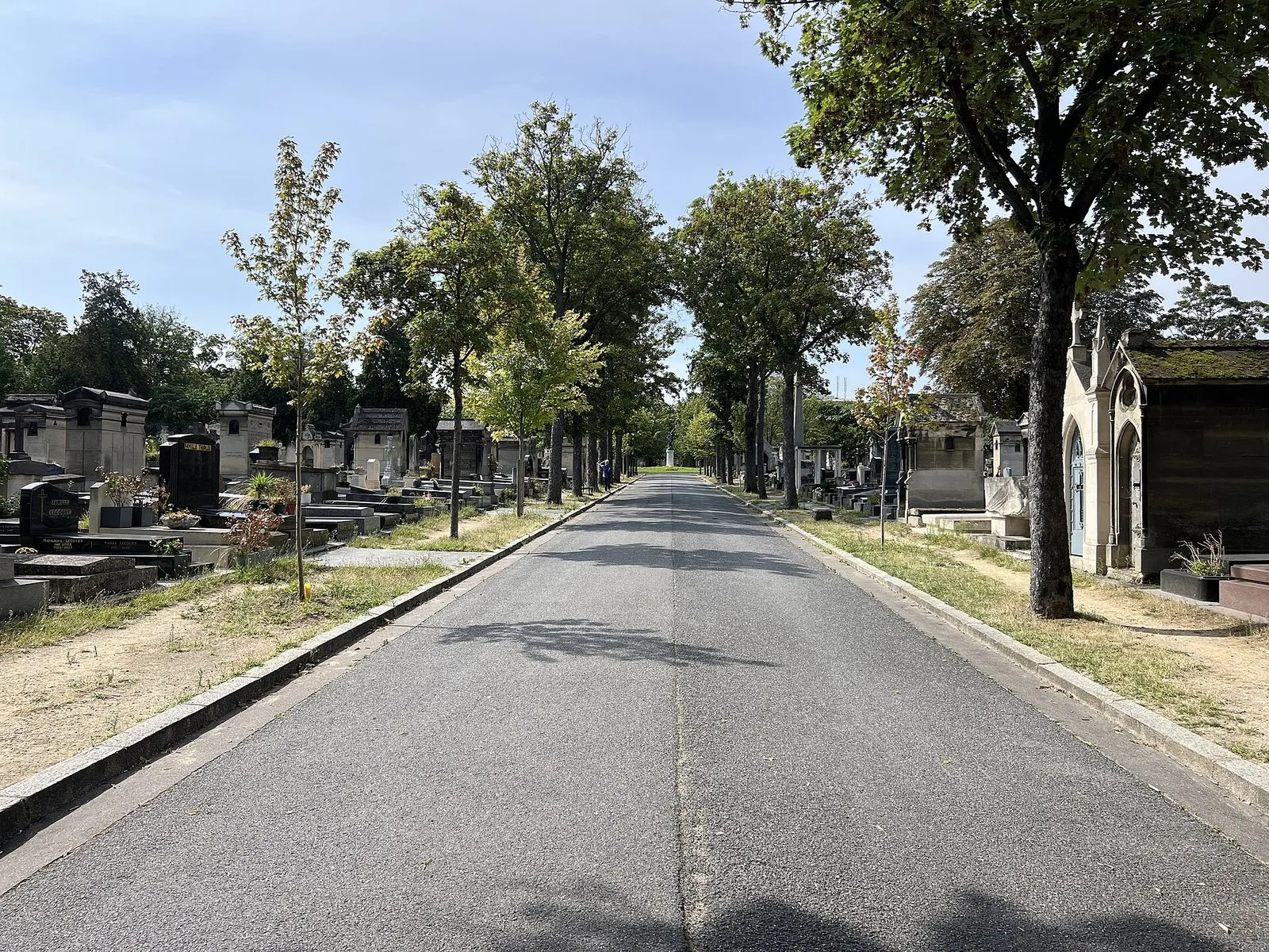 Une allée bordée d’arbres du cimetière du Montparnasse